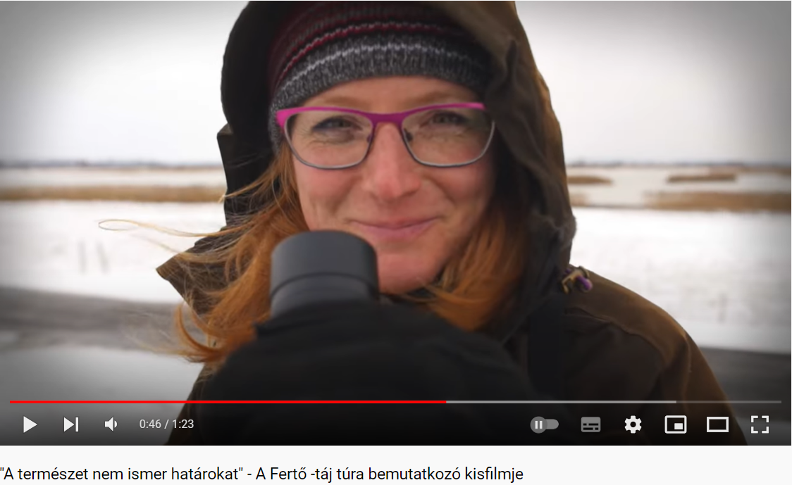 images/media/media12.png#joomlaImage://local-images/media/media12.png?width=1124&height=689