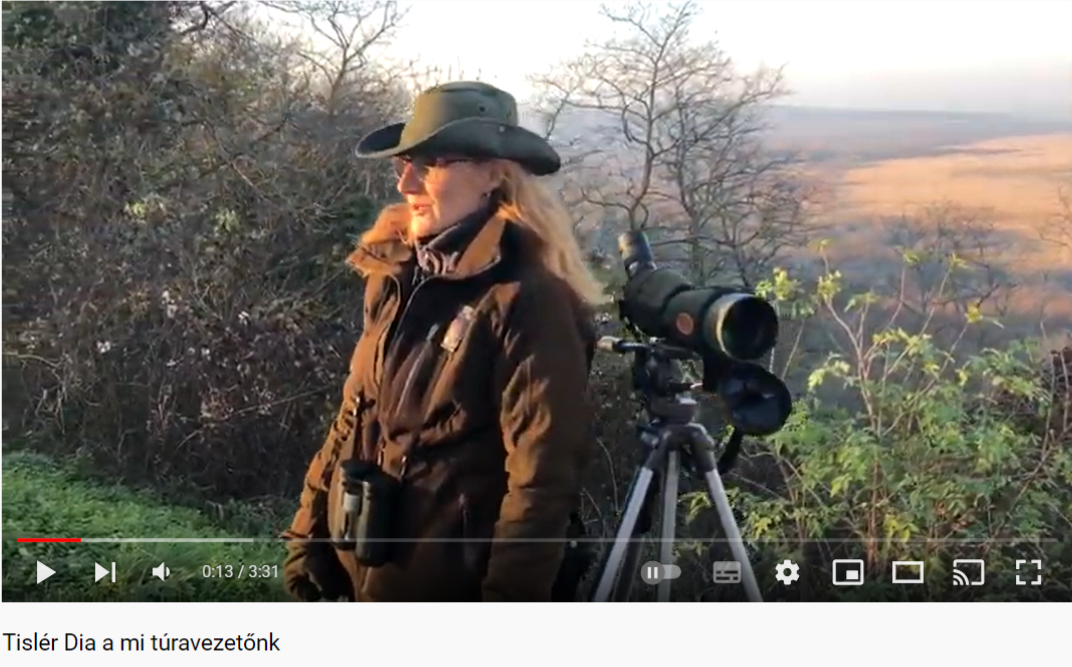 images/media/media16.png#joomlaImage://local-images/media/media16.png?width=1072&height=667