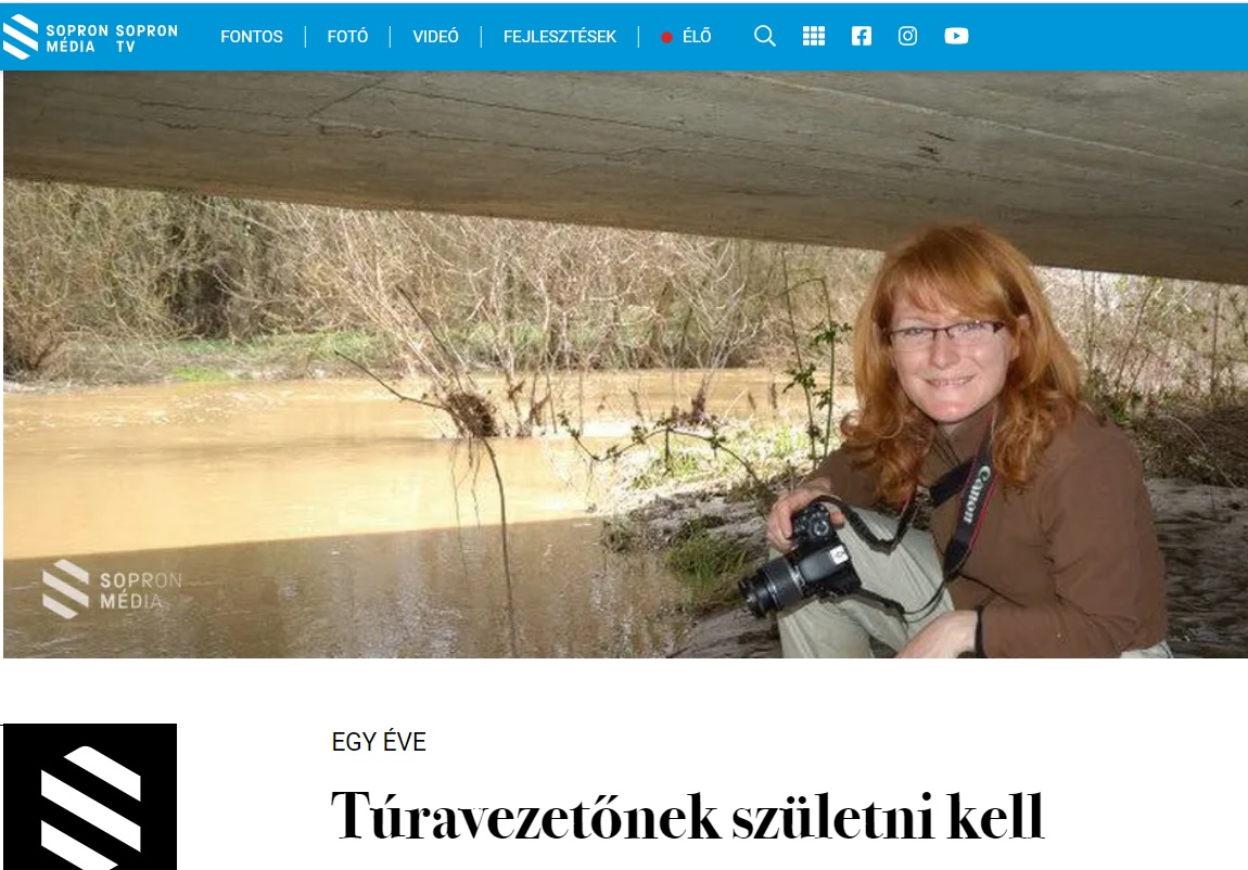 images/media/media17.jpg#joomlaImage://local-images/media/media17.jpg?width=1150&height=802